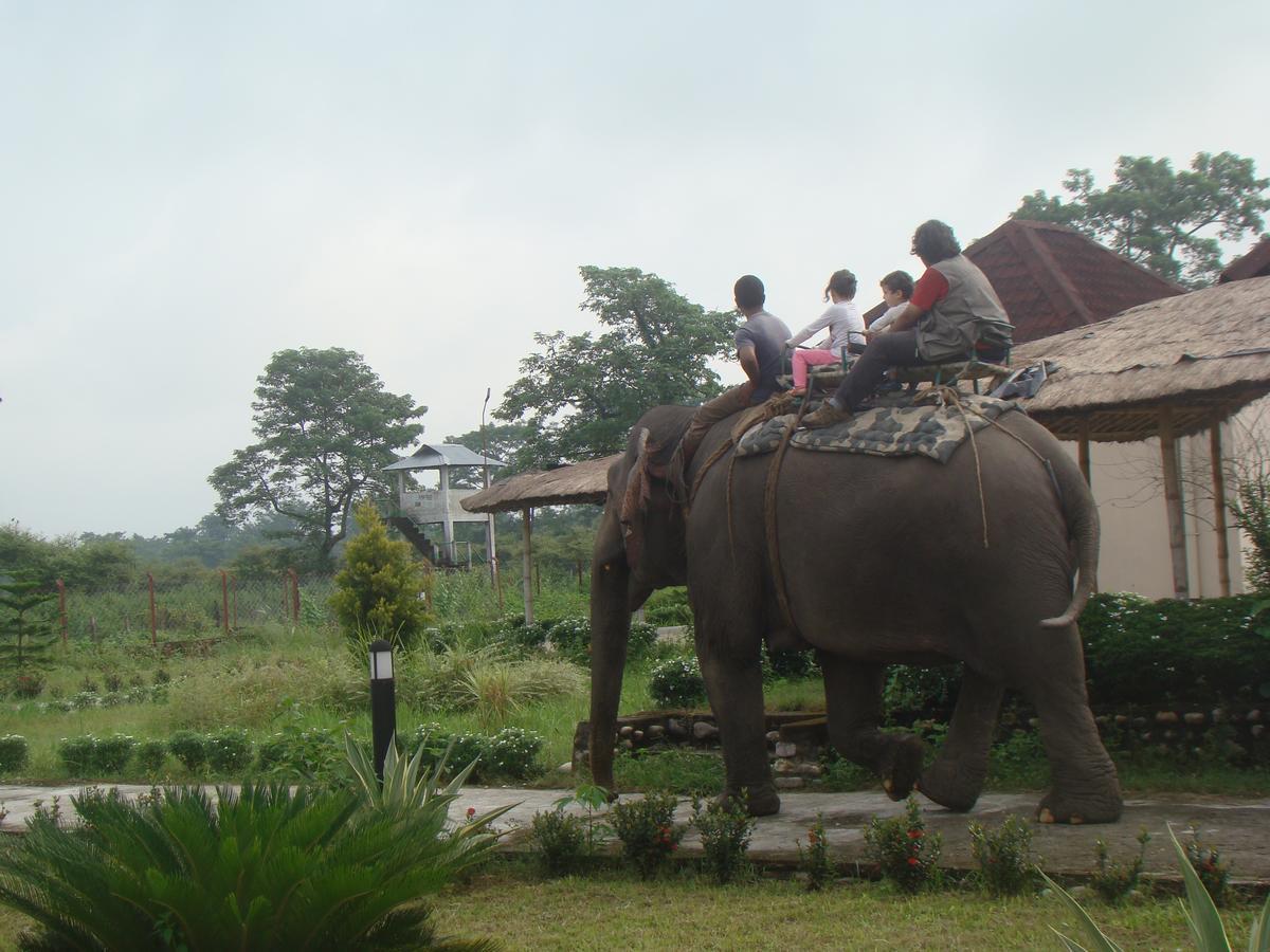 Kumguri Musa Jungle Retreat מראה חיצוני תמונה